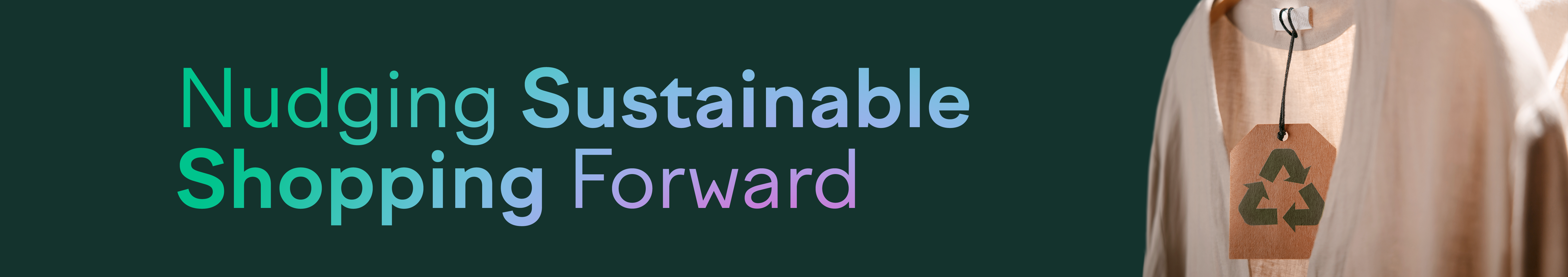 Sustainability Nudges to Convert
