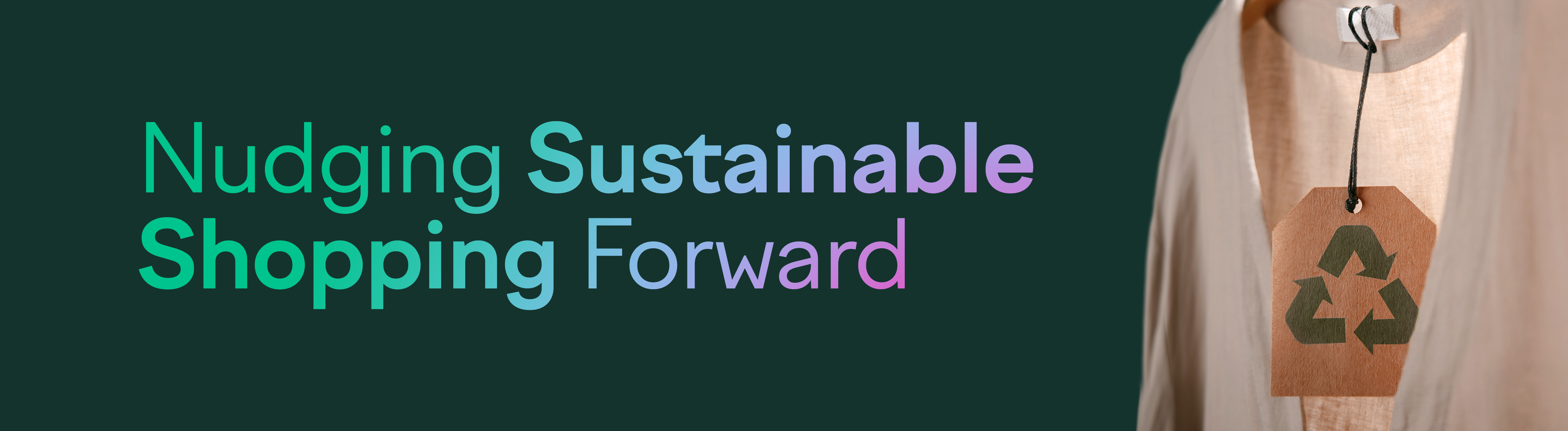 Sustainability Nudges to Convert